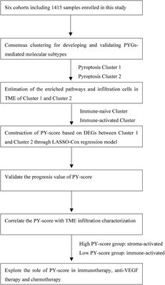 Pyroptosis-Mediated Molecular Subtypes and Tumor Microenvironment Infiltration Characterization in Colon Cancer